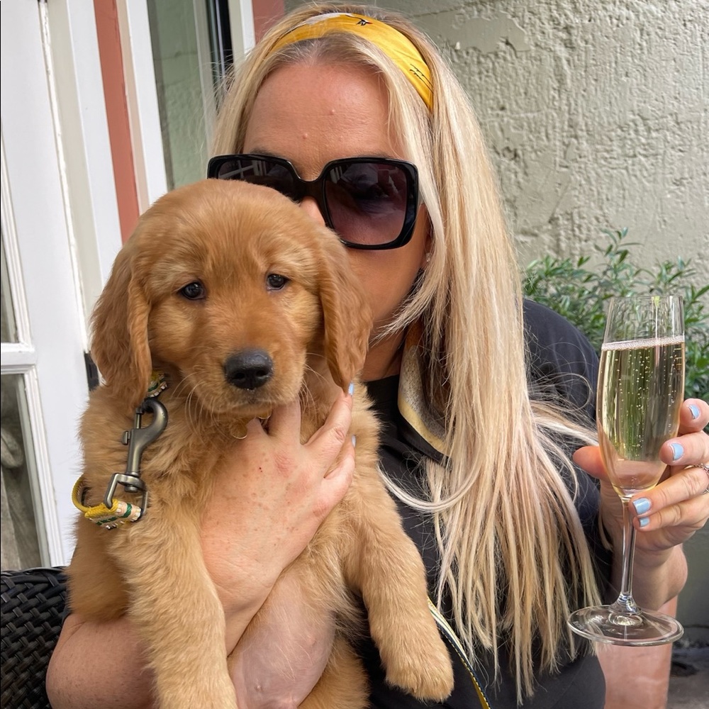 Meet your Posher, Jill